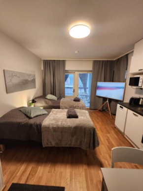 Viihtyisä täysin kalustettu ja varustettu yksiö Logomolla 1vrk-36kk, Turku